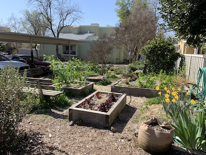 Outdoor garden