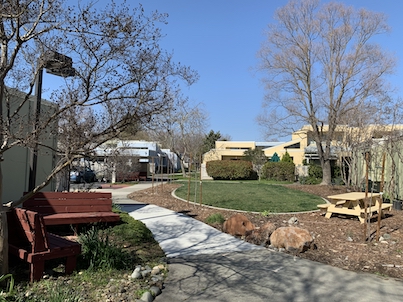 Seating areas near main lawn