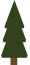 Pine tree illustration